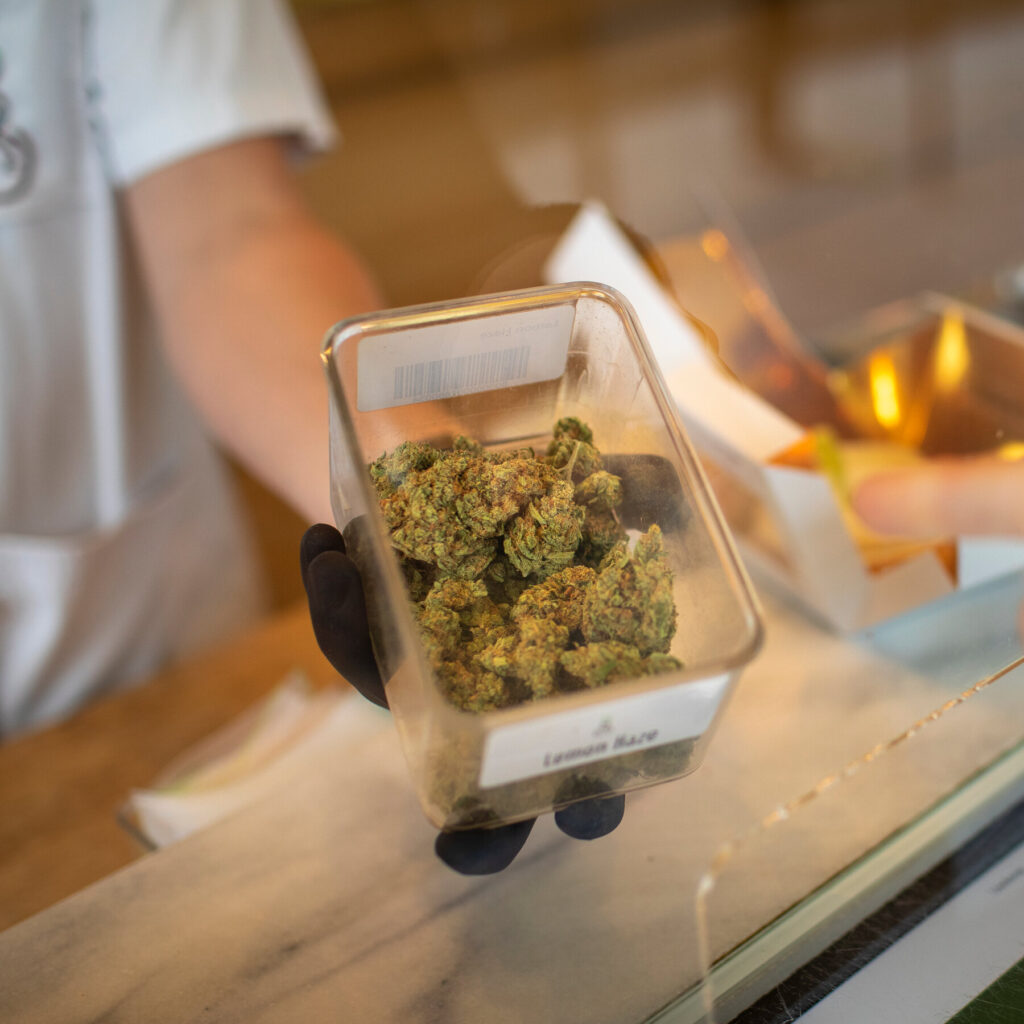 boerejongens weed
