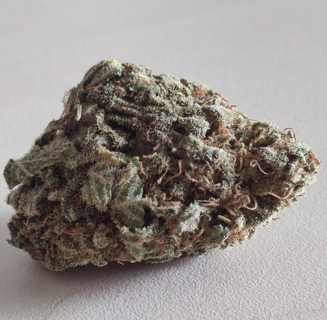 Snow White Indica
