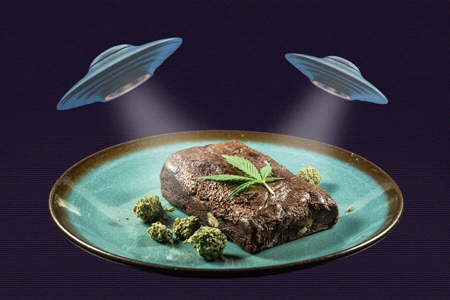 effect edible amsterdam
